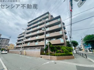 ハーヴィス カエロンの画像