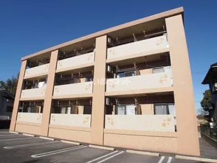 ルミエールの画像