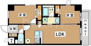 JU TOWER FRONT 亀沢【5階】の間取り