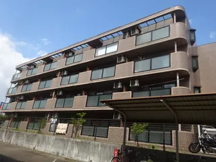 シェモア泉中央【4階】の外観