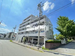 レジデンス千代萬【6階】の外観