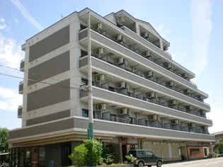 カーサソラッツォ弐番館【6階】の外観