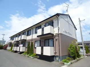 セジュールゼラニュームの画像