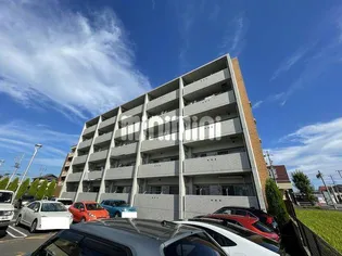 コスタメサの画像