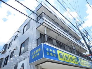 グレイスメジロの画像