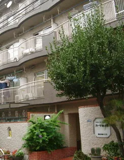 カーサ錦糸町の画像