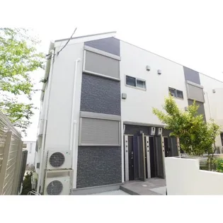 セゾン 桜の画像