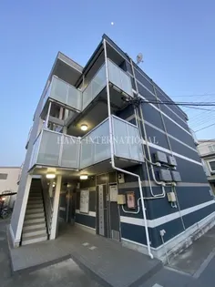 レオネクストドリーム金子の画像