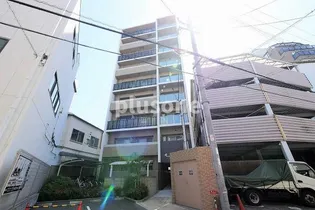 パインリッチの画像