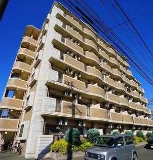 プラシード カーサの画像