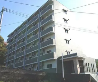 ペパーミントの画像