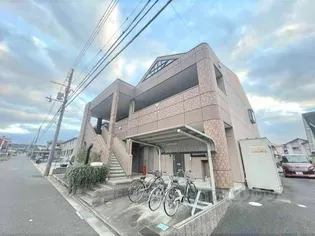 ローズマリーの画像