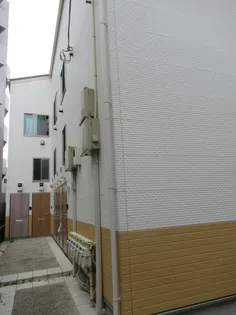 雑色ラ シスの画像