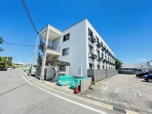 リュシャールの画像