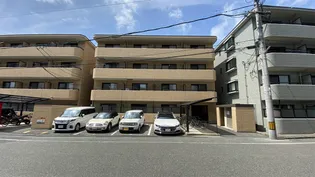 ジェムハナクマの画像