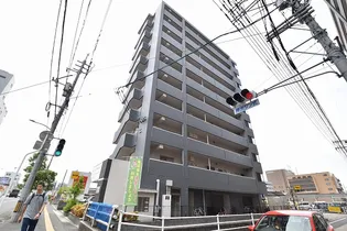 アルストロメリアの画像