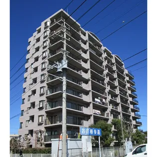 コスモ柏セランス(040751)【8階】の外観