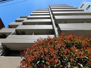 パレステュディオ小石川後楽園【4階】の外観