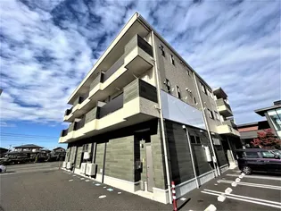 サゥーヂビバ荒井の画像