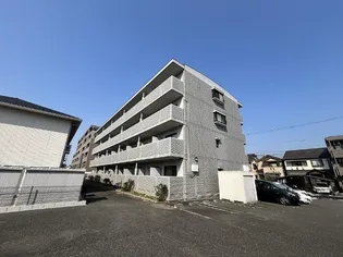 エントピア錦の画像