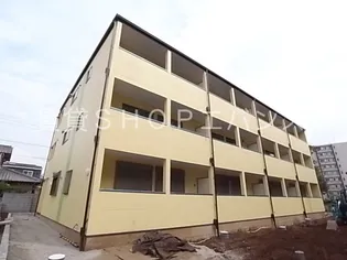 シオン中野木の画像