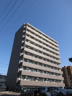 アリオーソフラーゼの画像