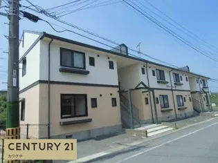 シティ カーサ 桜の画像