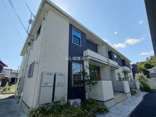 サンリット バンブーの画像