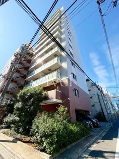 東京都台東区元浅草1【マンション】の外観