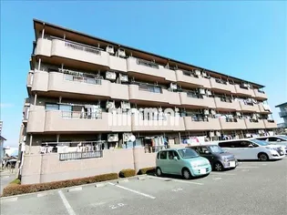 キャッスルベリーの画像