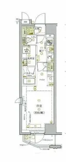 ベルシード【7階】の間取り