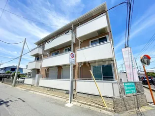 スカイガーデンの画像