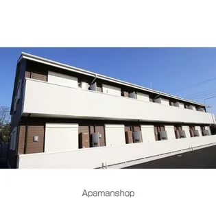 AMOUR橘アムールタチバナの画像