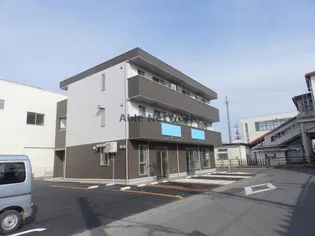 ステラートの画像