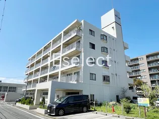 ホワイトハウス【2階】の外観