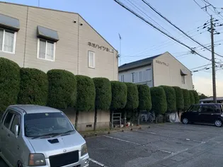 ネオハイツB【2階】の外観