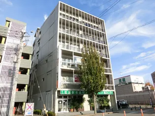 コモド若葉の画像