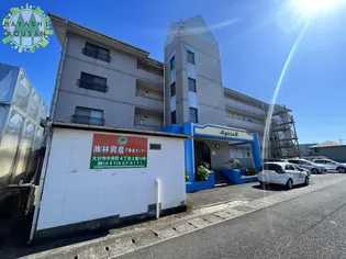 アグリス正の画像