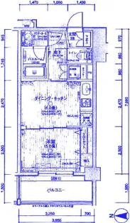 日神デュオステージ三ツ沢公園【3階】の間取り