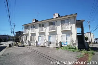 サニースポットの画像