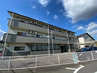 PURE CRYSTALの画像