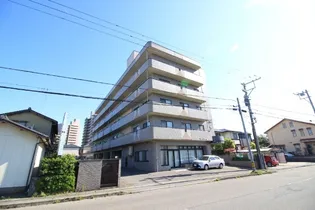 プレイスアイルの画像