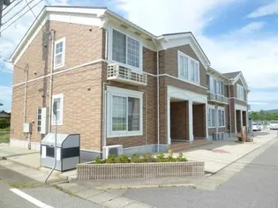 プリムローズの画像