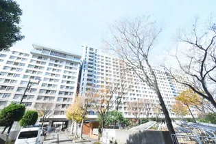 UR千島の画像