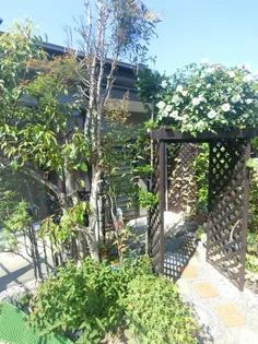 山口県下関市向洋町1【アパート】の外観