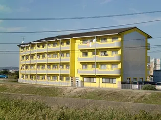 ワンモアトライの画像