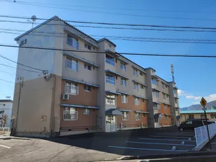 JK3若槻の画像