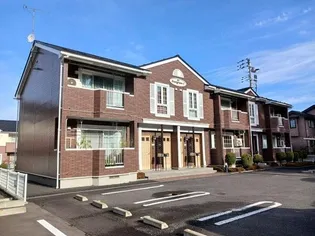 エヴァーグリーンCの画像