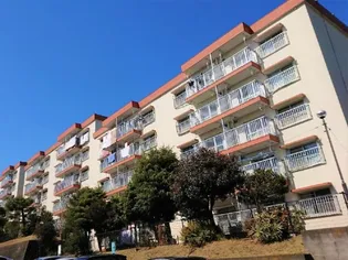 浦賀第2 11号棟の画像