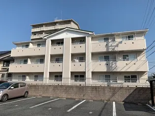 PRIMAVERAの画像